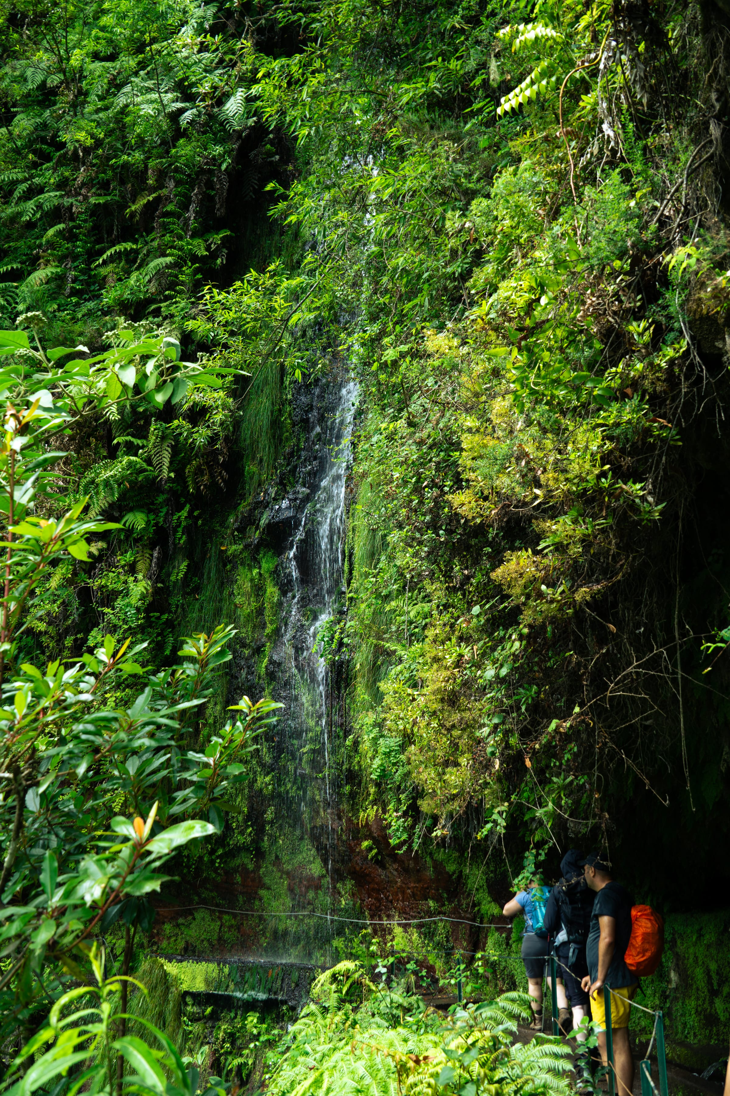 DSC03931